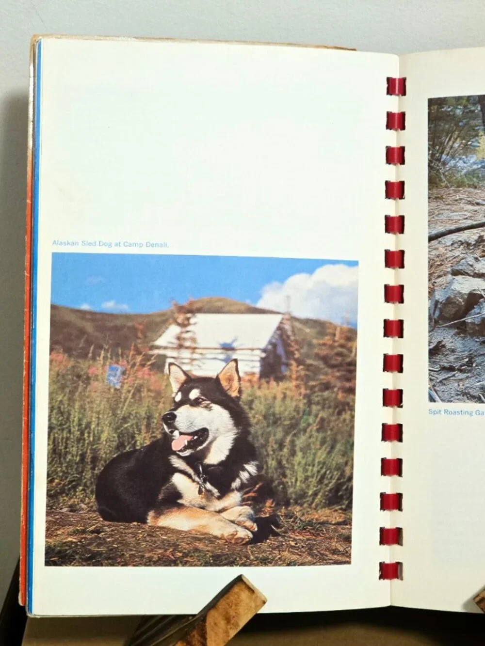 Vintage Sourdough Jack Cookery Cookbook Western Americana Alaska Camp Cooking 72